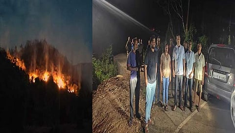 पारोड्याच्या जंगलात भीषण आग  