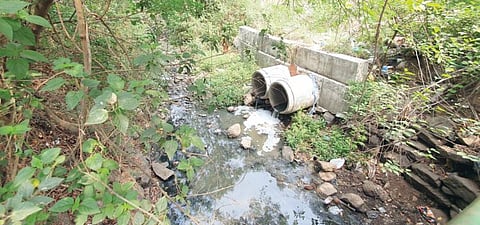 पुणे : राम नदी होतेय अस्वच्छ ! गावातील तसेच बांधकामांचे सांडपाणी थेट नदीत