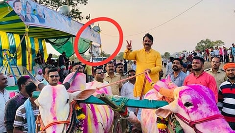 कल्याण पूर्वेत आमदार केसरी बैलगाडा शर्यतीमधून गदा पळवली