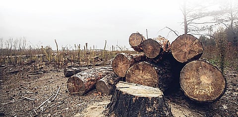 पिंपरी : गतवर्षी 300 नागरिकांचा ऑक्सिजन गायब!