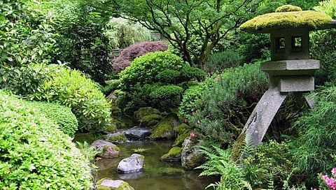 Hingoli News: वगरवाडीत होणार निसर्ग पर्यटन केंद्र; ९ कोटींचा निधी मंजूर