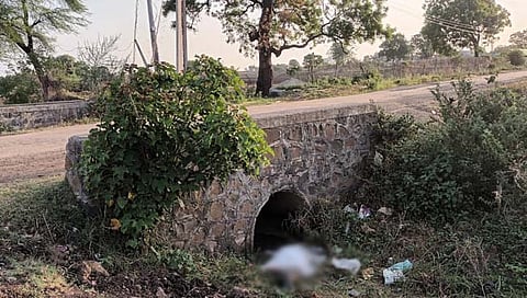 अजिंठा गावाजवळ वृद्धाचा मृतदेह आढळल्याने खळबळ