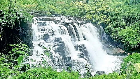 सिंधुदुर्गात दमदार पाऊस! सावडाव धबधबा प्रवाहित