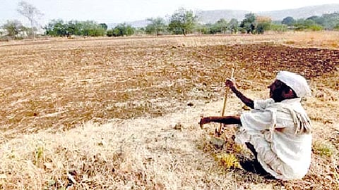कोल्हापूर : भाताच्या धूळवाफ पेरण्या वाया जाण्याची भीती