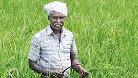 ‘पी.एम. किसान’चे मुख्य काम कृषी विभाग करणार