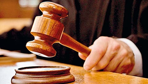 बेसुमार पशुबळी प्रथा खपवून घेतली जाणार नाही; विशाळगड प्रकरणी खंडपीठाने सुनावले