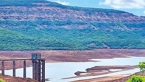 सातारा : कोयनेचा बहुतांशी भाग पडला कोरडा