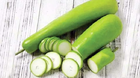 दुधी भोपळा 