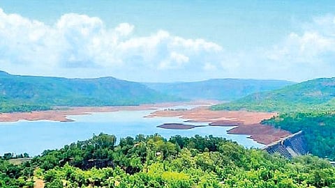 Dam water : राज्यातील धरणांमध्ये केवळ 19 टक्के पाणीसाठा!