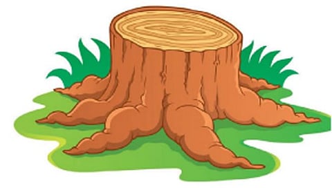 नाशिक : उद्यान विभागाने तोडले शहरातील ११० धोकादायक वृक्ष