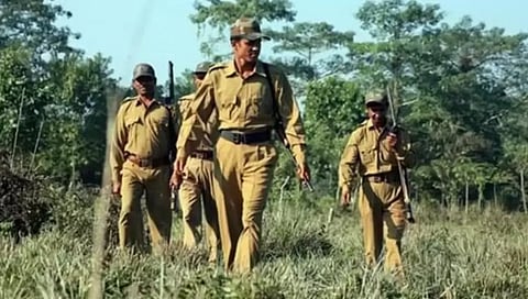 वनविभागात मेगा भरती, २,४१७ पदांसाठी उद्यापासून अर्ज प्रक्रिया