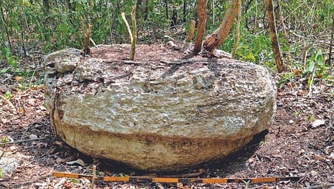 मेक्सिकोच्या जंगलात ‘पिरॅमिड सदृश इमारत’