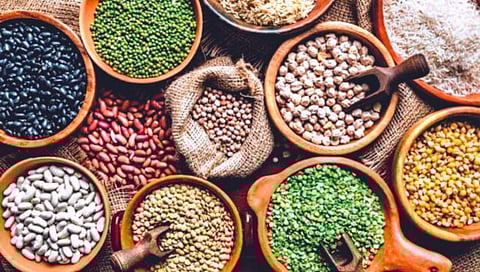 देशी बियाणांच्या रक्षणाची गरज