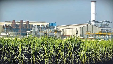 साखर उद्योग कोसळण्याचा धोका!