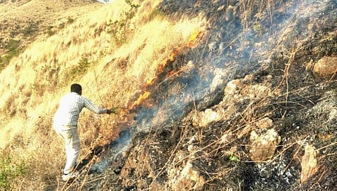 सांगली : सावर्डेत भवानीच्या डोंगराला लावली आग