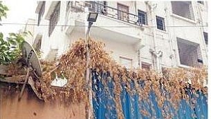 पिंपरी: आकुर्डी परिसरातील विद्युत तारांना वेलींचा विळखा