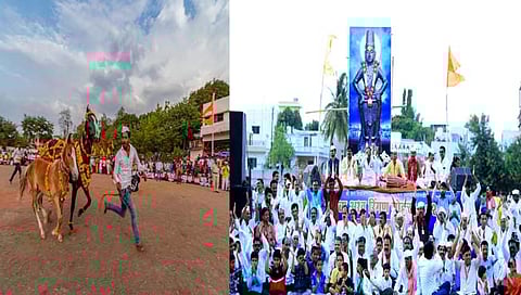 अश्व रिंगण सोहळा  