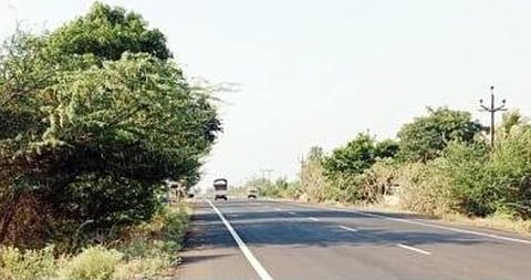 नगर: राज्यमार्गावरील झुडपे सांगा काढणार कधी? अपघातांच्या संख्येत वाढ; रस्ता सुरक्षिततेचे तीन-तेरा