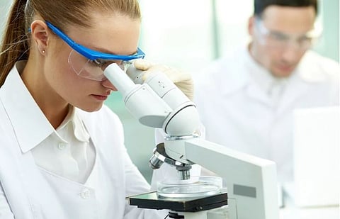 संग्रहित छायाचित्र