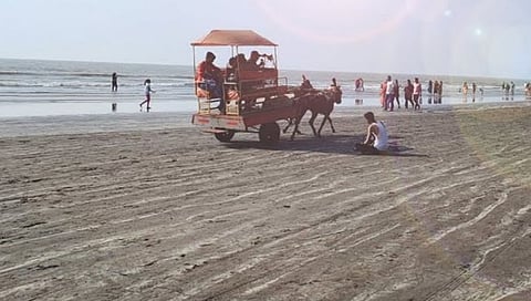 Palghar News: बिपरजॉयच्या भीतीने पालघर जिल्ह्यातील समुद्रकिनारे, पर्यटनस्थळी १५ जूनपर्यंत मनाई आदेश