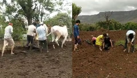 सातारा : कण्हेर परिसरात पेरणीसह मशागतीच्या कामांना वेग