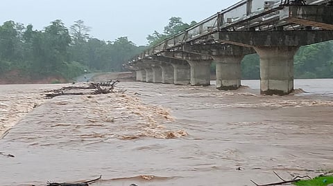 गडचिरोलीत मुसळधार पाऊस, पुरामुळे १५० हून अधिक गावांचा संपर्क तुटला
