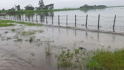 Kolhapur : मुरगूडचा सरपिराजीराव तलाव ओव्हरफ्लो! मुरगूडकरांची पिण्याच्या पाण्याची चिंता मिटली