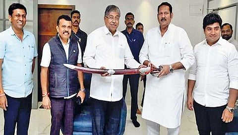 खा. उदयनराजेंकडून मंत्र्यांच्या गाठीभेटी; विकासावर चर्चा