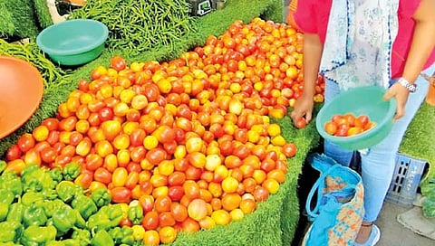 सांगली : फेकून दिलं.. रोटर फिरवला.. दर वाढला