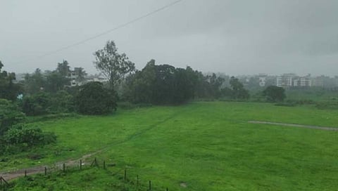 रायगड: रोह्यात दमदार पावसामुळे भात लावणीला वेग