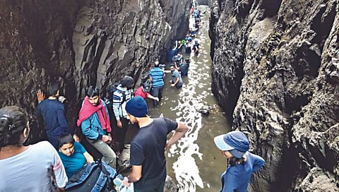 Nashik : सांदण व्हॅलीत नोव्हेंबरपर्यंत प्रवेशबंदी, वन्यजीव विभागाचा निर्णय