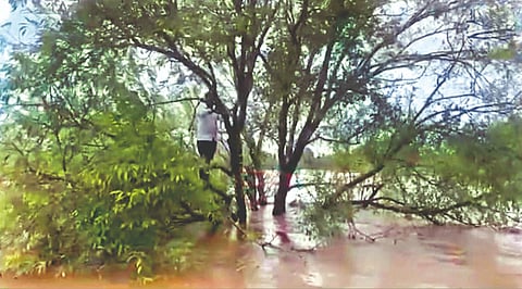 पुरात वाहून गेला… रात्रभर झाडावर; 15 तासांनी सुटका