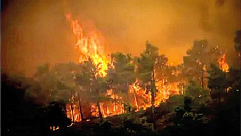 ऑस्ट्रेलिया, कॅनडानंतर ग्रीसच्या जंगलात वणवा