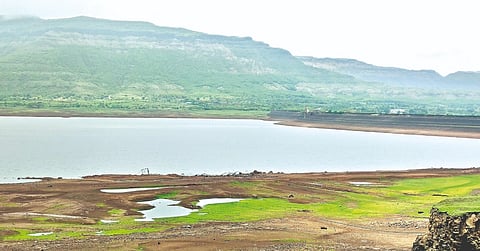 सातारा जिल्ह्यातील प्रमुख धरणे निम्म्यावर