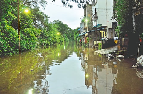 कोल्हापूर : अलमट्टी धरणाबाबत समन्वय, सध्या पुराचा धोका नाही