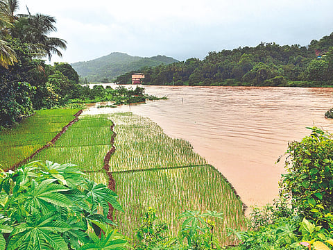 रत्नागिरी जिल्ह्यात धुवाँधार; नद्या धोका पातळीवर