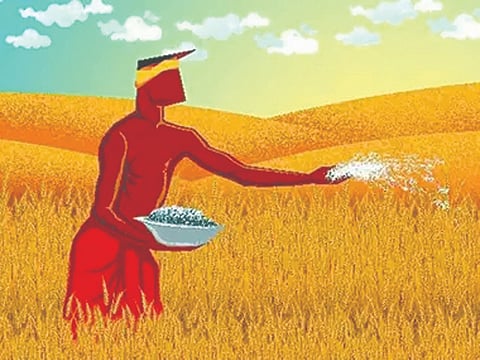 सांगली :  बनावटगिरीचा रानबाजार; खतांत बगॅस, थर्मलची राख, खाणमाती