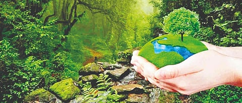 प्रासंगिक : झाडांचे अरण्यरुदन टाळण्यासाठी