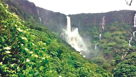 सातारा : भांबवलीचा हंगाम आजपासून सुरू
