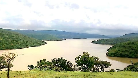 विशाळगड परिसरात पावसाची जोरदार बॅटिंग; कासारी धरण ७६.२३ टक्के भरले, पांढरपाणी- पावनखिंड, आंबा घाट मार्गावर झाडांची पडझड