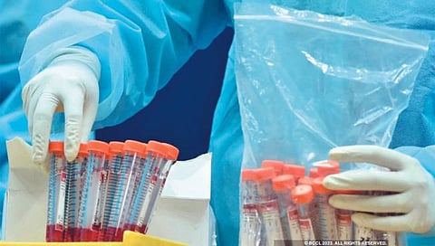 सांगली : जिल्ह्यात अनेक लॅबोरेटरिज् अनधिकृत