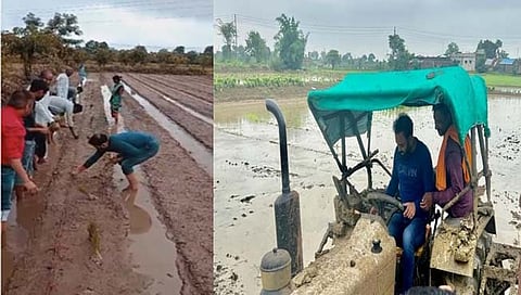 नागपूर : जिल्हाधिकाऱ्यांनी घेतला भात रोवणीचा प्रत्यक्ष अनुभव