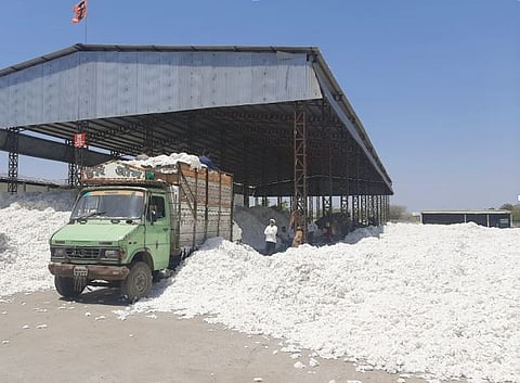 शेवगावात कपाशीतून अडीच अब्जांची उलाढाल