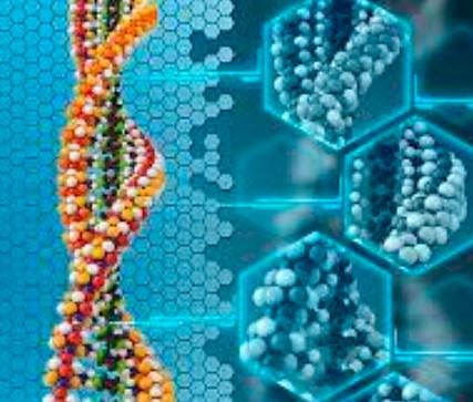 ससूनमधील ’सीक्वेन्सिंग‘ आता डेंग्यूसाठीही !