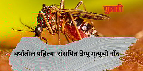 पुणे महापालिकेकडून वर्षातील पहिल्या संशयित डेंग्यू मृत्यूची नोंद