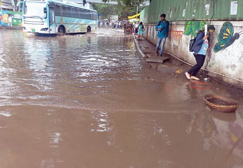 हे तळे नव्हे, स्वारगेट एसटी स्टँड ! प्रवेशद्वारावर साचले मोठे तळे