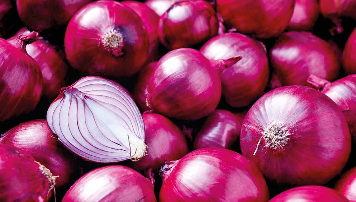 Onion Rate कांद्याला प्रति दहा किलोस 511 रुपये भाव!