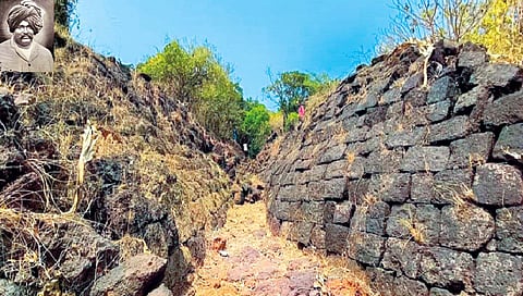 जागतिक हत्‍तीदिन विशेष : शाहूकाळात हत्तींच्या संरक्षणासाठी विशेष प्रयत्न