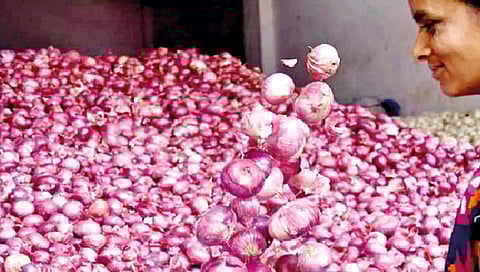 Onion News : लासलगावी कांदा उच्चांकी ५ हजार ८२० रुपये क्विंटल