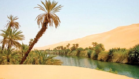 दर 20 हजार वर्षांनी हिरवेगार होते सहारा वाळवंट?